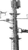 mast in bad salzdetfurth